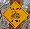 Image for Rattlesnake Xing