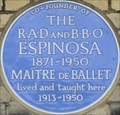 Image for Edouard Espinosa - Lonsdale Road, Barnes, London, UK
