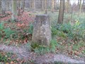 Image for Triangulation Pillar - Great Widmoore Wood, Tring, Buckinghamshire.