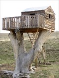 Image for Wyoming Treehouse, Wheatland, WY