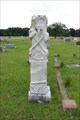 Image for Ezekiel M. White - White Rose Cemetery - Wills Point, TX