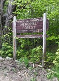 Image for Chamberlain-Reynolds Memorial Forest - Center Harbor, NH