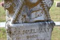 Image for J.A. McElhany - Bullard Cemetery - Bullard, TX, USA