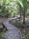 Image for Kauri Walk, Bayview. Auckland. New Zealand