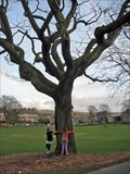 Image for Shakespeare's Oak - Kendal Green, Cumbria UK