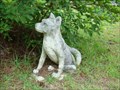 Image for Dog Waiting for Its Owner - Green Cove Springs, Florida