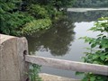 Image for Newton Lake Fishing Hole - Collingswood, NJ