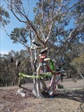 Image for Abercrombie Range Shoe Tree - Curraweela, NSW