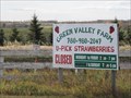 Image for Green Valley Farm U-Pick Strawberries