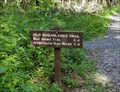 Image for Old Sugarlands Trail at Cherokee Orchard Road - Great Smoky Mountains National Park, TN