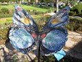 Image for Butterfly - La Habra, CA
