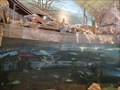 Image for Bass Pro Shops Aquarium - Oklahoma City, OK