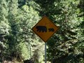Image for Bear crossing - HW 49 CA