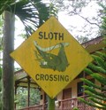 Image for Sloth Crossing - Limón, Costa Rica