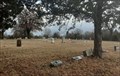 Image for Brooksville Cemetery - Brooksville, OK