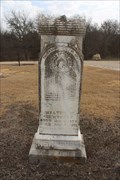 Image for Walter M. Newberry - Palmer Cemetery - Palmer, TX