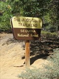 Image for Trail of 100 Giants - Sequoia National Monument, California