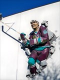 Image for Ellenton Ice Hockey Player - Ellenton, FL