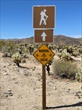 Image for Watch out for Bees or Wasps- Joshua Tree