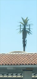 Image for 7-11 Palm Tree - Las Vegas, NV