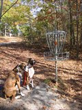 Image for Sequoyah Park Disc Golf Course