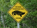 Image for Snapping Turtle Crossing - Wahta Mohawk Territory
