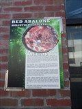 Image for Red Abalone  -  Monterey, CA