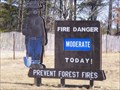 Image for Smokey the Bear in Stevens Point, WI