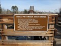 Image for Three Pin Timber Arch Bridge – Hoyt Lakes, MN