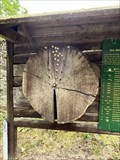 Image for Tree Ring "Tierpark Sababurg" - Hofgeismar, HE, D
