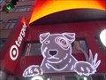 Image for Target Bull Terrier - NY, NY