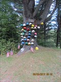 Image for Hard Hat Tree along State Route 27 Scenic Byway, ME