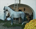 Image for Fairytale horse - Selibov, Czech Republic