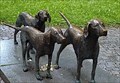 Image for Lihuanian Hounds - Vilnius -Lithuania