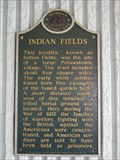 Image for Indian Fields