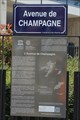 Image for Champagne Hillsides, Houses and Cellars - Avenue de Champagne - Epernay, France - ID=1465-012