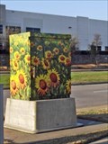 Image for Sunflowers - Flower Mound, TX