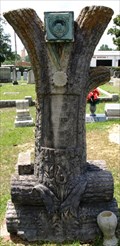 Image for James T Parkes - Masonic Cemetery - Louisville,MS
