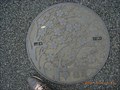 Image for Cherry Manhole in Ueno Park, Tokyo, JAPAN
