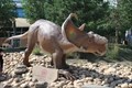 Image for Pachyrhinosaurus -- Royal Tyrrell Museum, Drumheller AB CAN