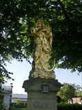 Image for Virgin Mary //  Panna Marie - Krouna, Czech Republic