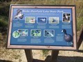 Image for Birds of Fairfield Lake State Park - Fairfield, TX