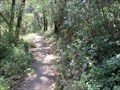 Image for Thornewood Open Space Preserve Trail - Redwood City, CA