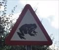 Image for Toad Crossing - Market Drayton, UK
