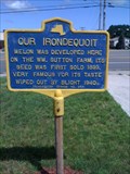 Image for Our Irondequoit