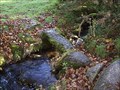 Image for Small Stone Bridge, Near Babeny, Central Dartmoor, Devon