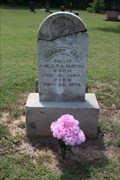 Image for EARLIEST Burial in Pleasant Grove Cemetery - Combine, TX