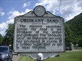 Image for Oriskany Sand
