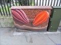 Image for Cocoa Pods - Bermondsey Street, London, UK