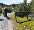 Image for Swamp Forest Walk - West Coast, New Zealand